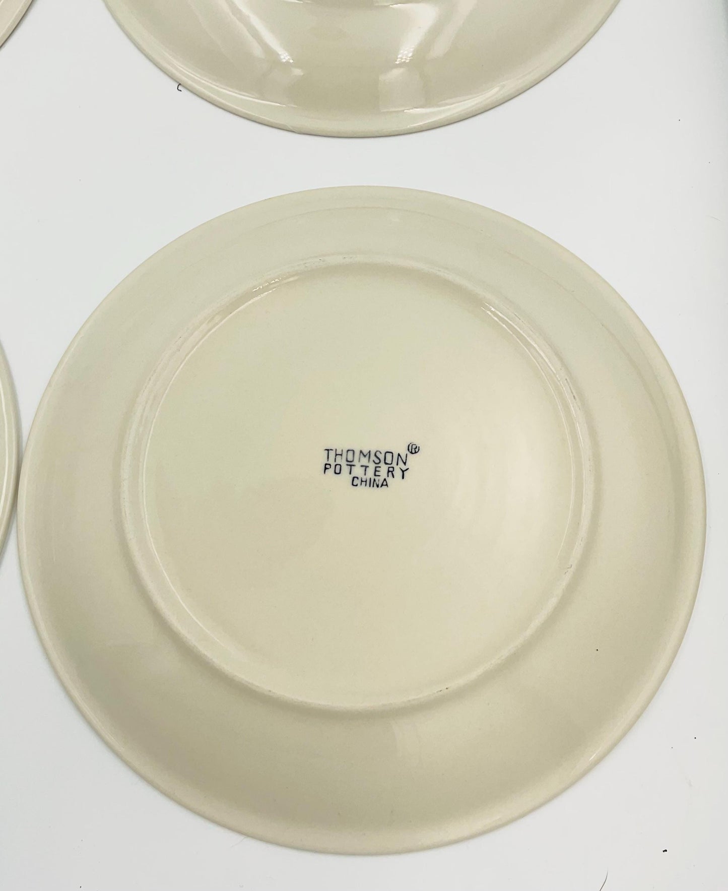 Vintage Thomson Pottery Birdhouse Dinner Plates