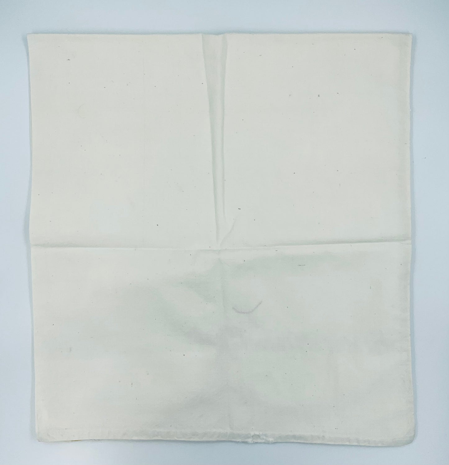 Vintage Yellow Hand Crocheted Cotton Pillow Cases - Set of 2