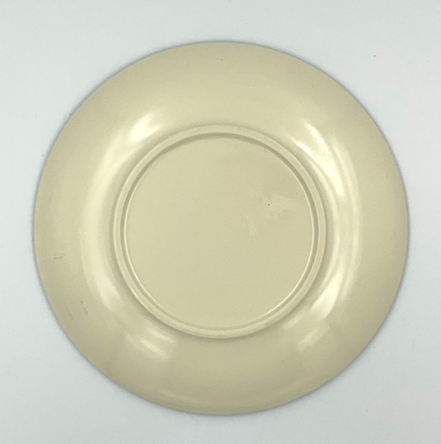 William Sonoma Melamine Outdoor Plates - Set of 4