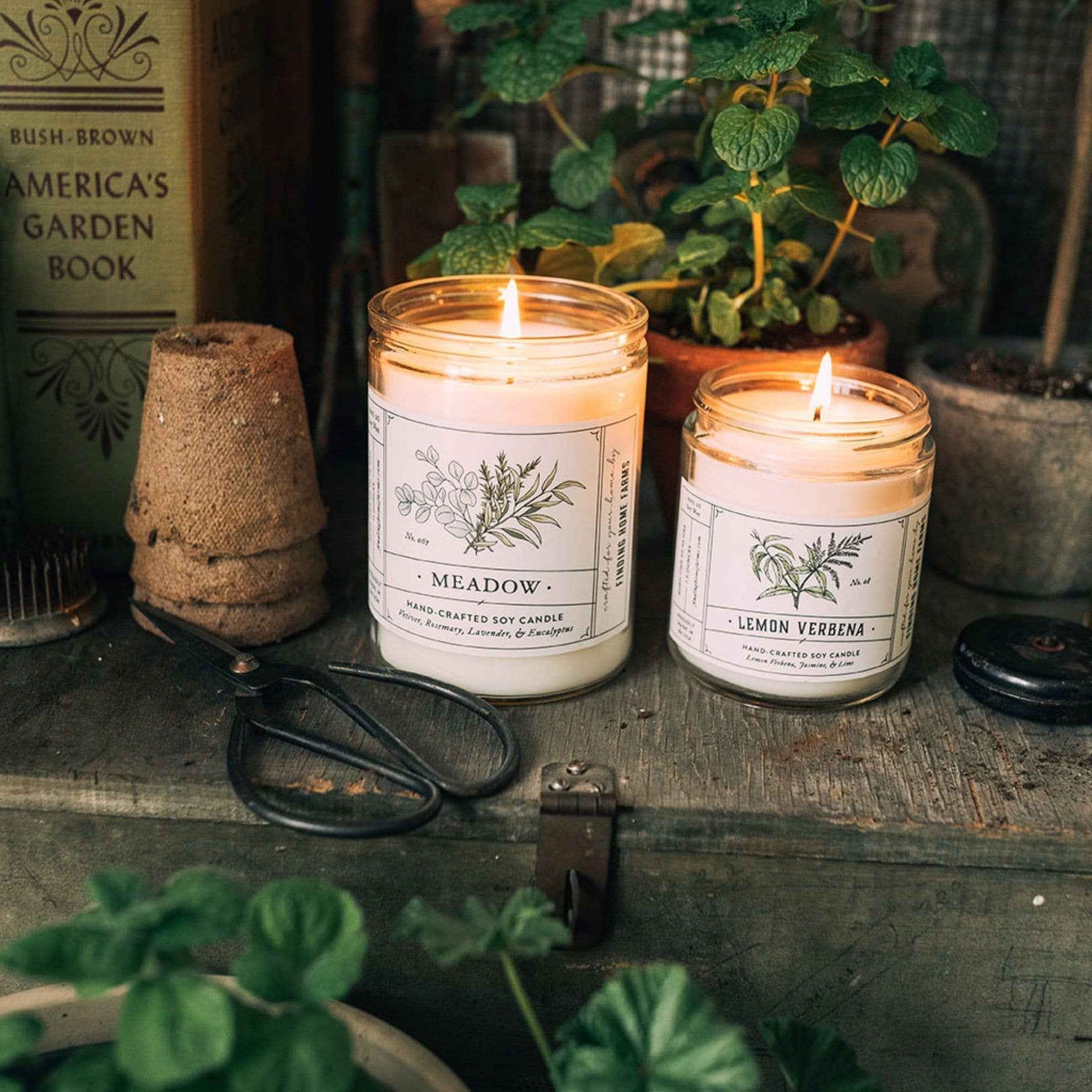 Lemon Verbena | Hand Poured Soy Candle