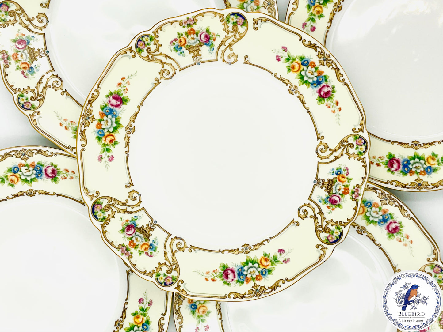 Vintage Paul Muller Selb “The Stirling S4” Bavaria Dinner Plates - Set of 2