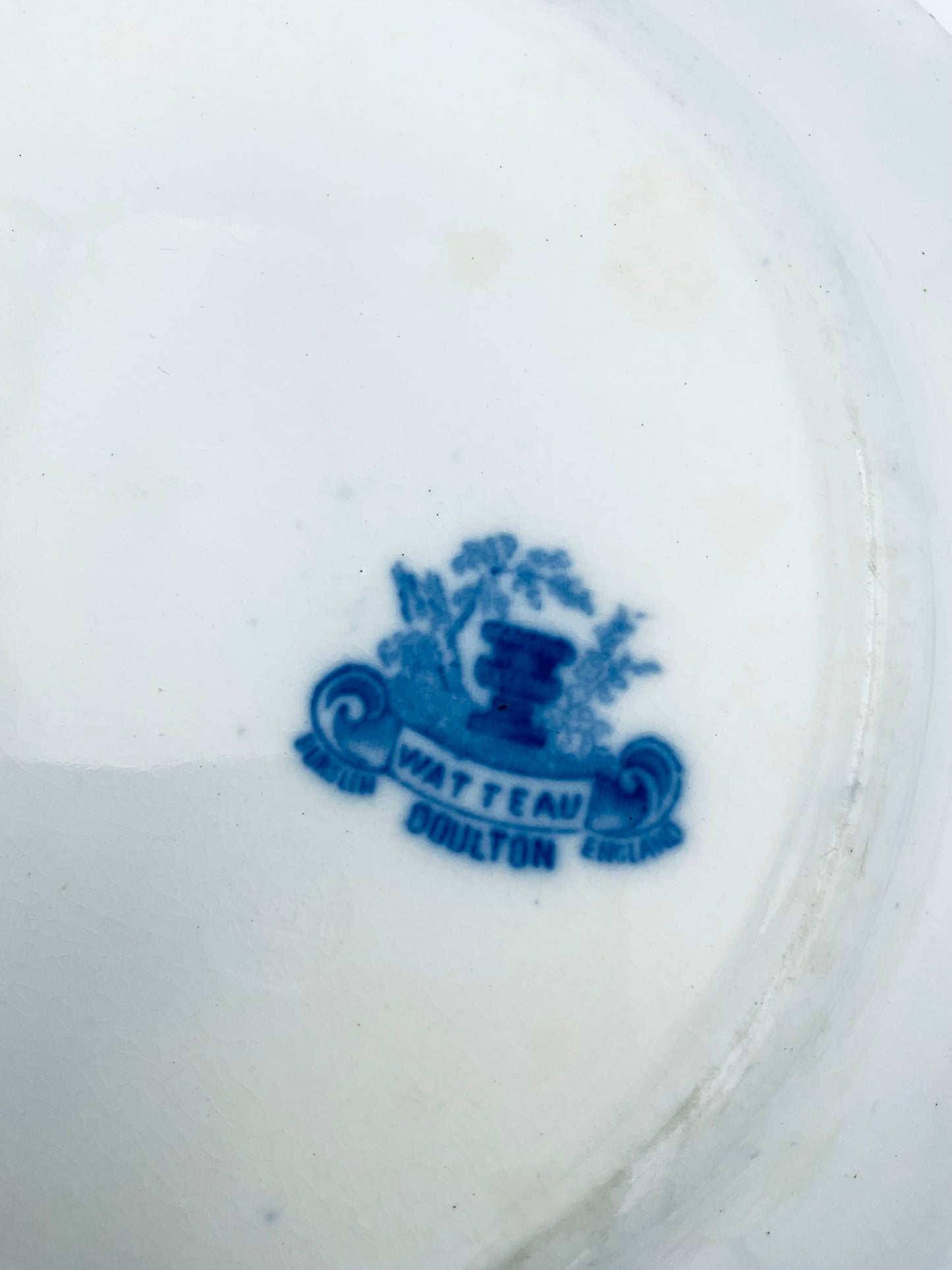 Antique ‘Watteau’ Pattern Plate by Doulton Burslem