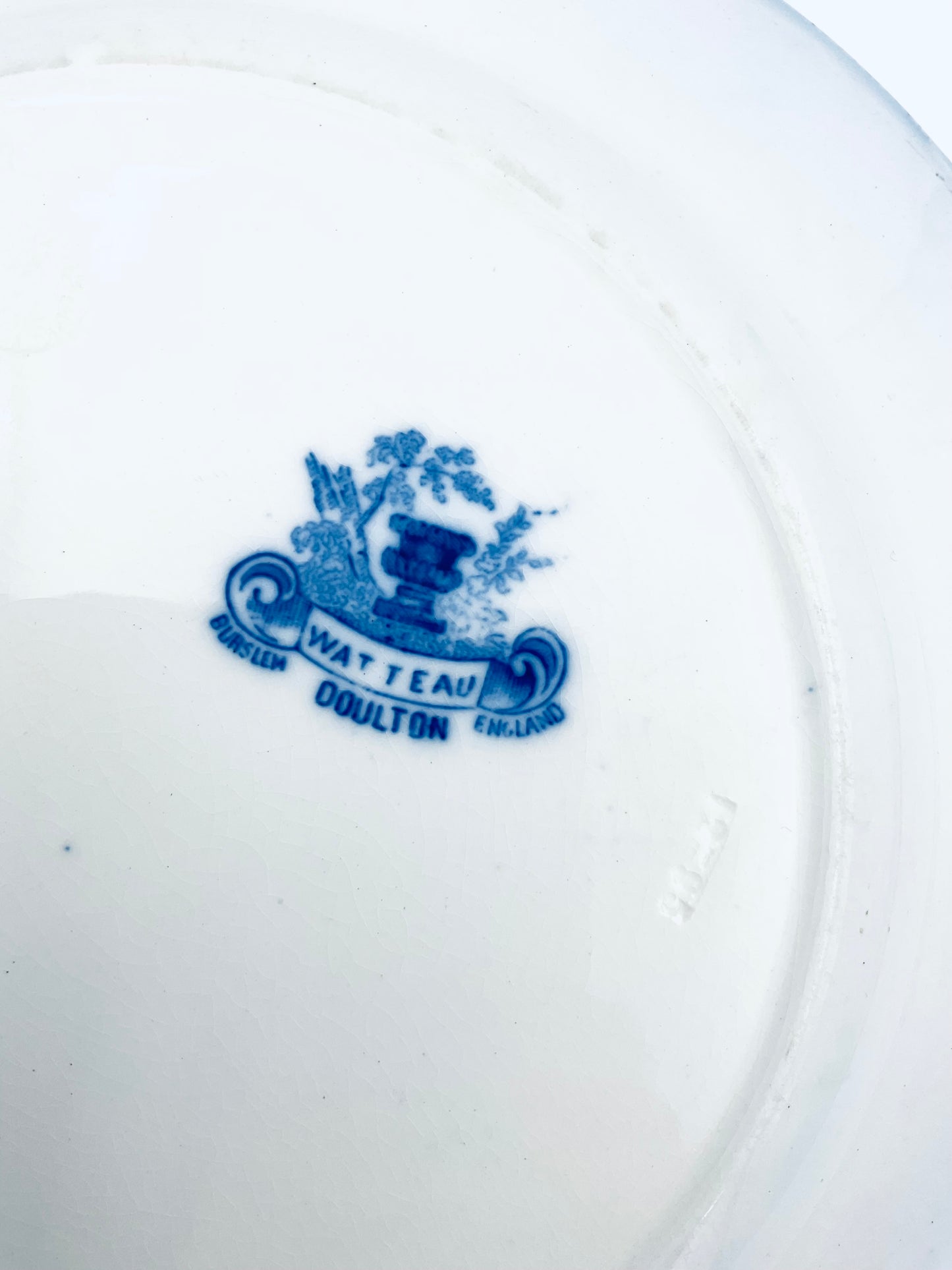 Antique ‘Watteau’ Pattern Plate by Doulton Burslem