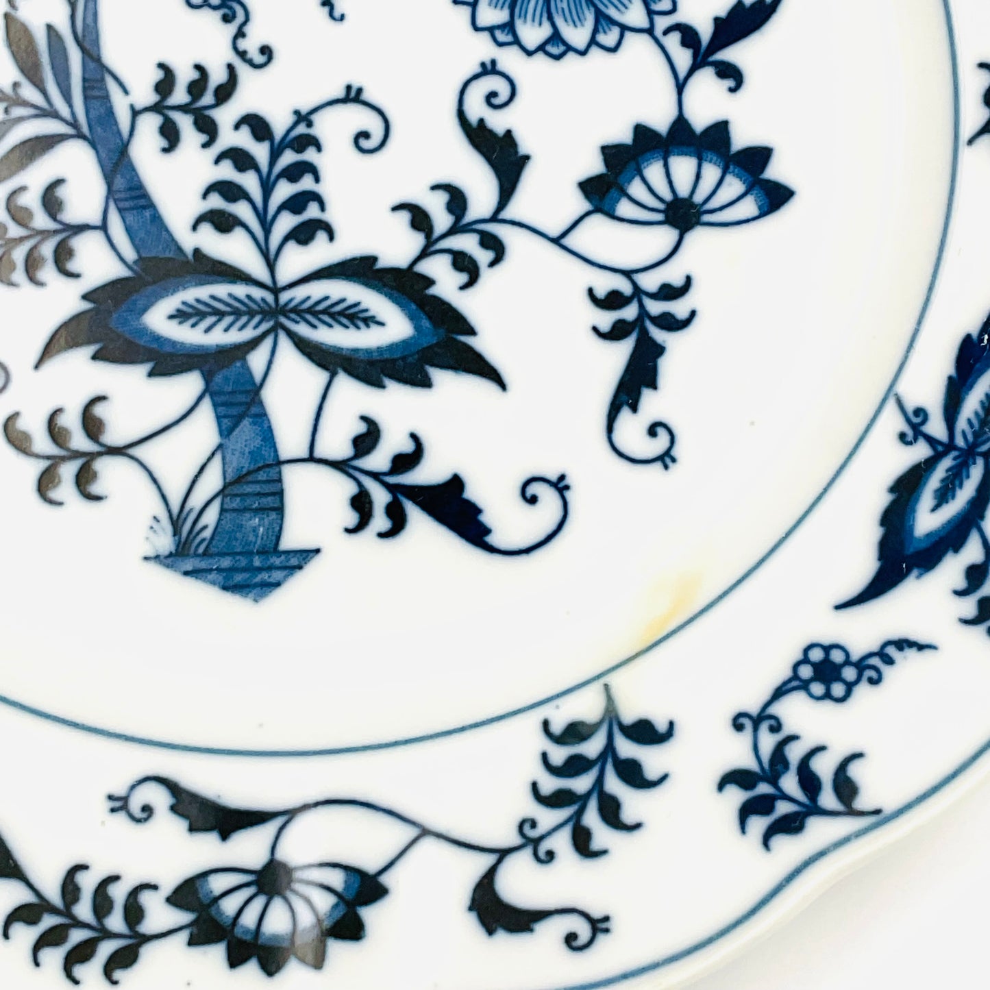 Blue Danube Salad Plates - Set of 2