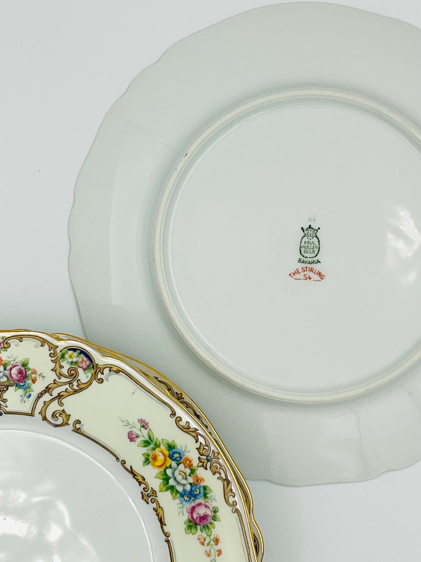 Vintage Paul Muller Selb “The Stirling S4” Bavaria Dinner Plates - Set of 2