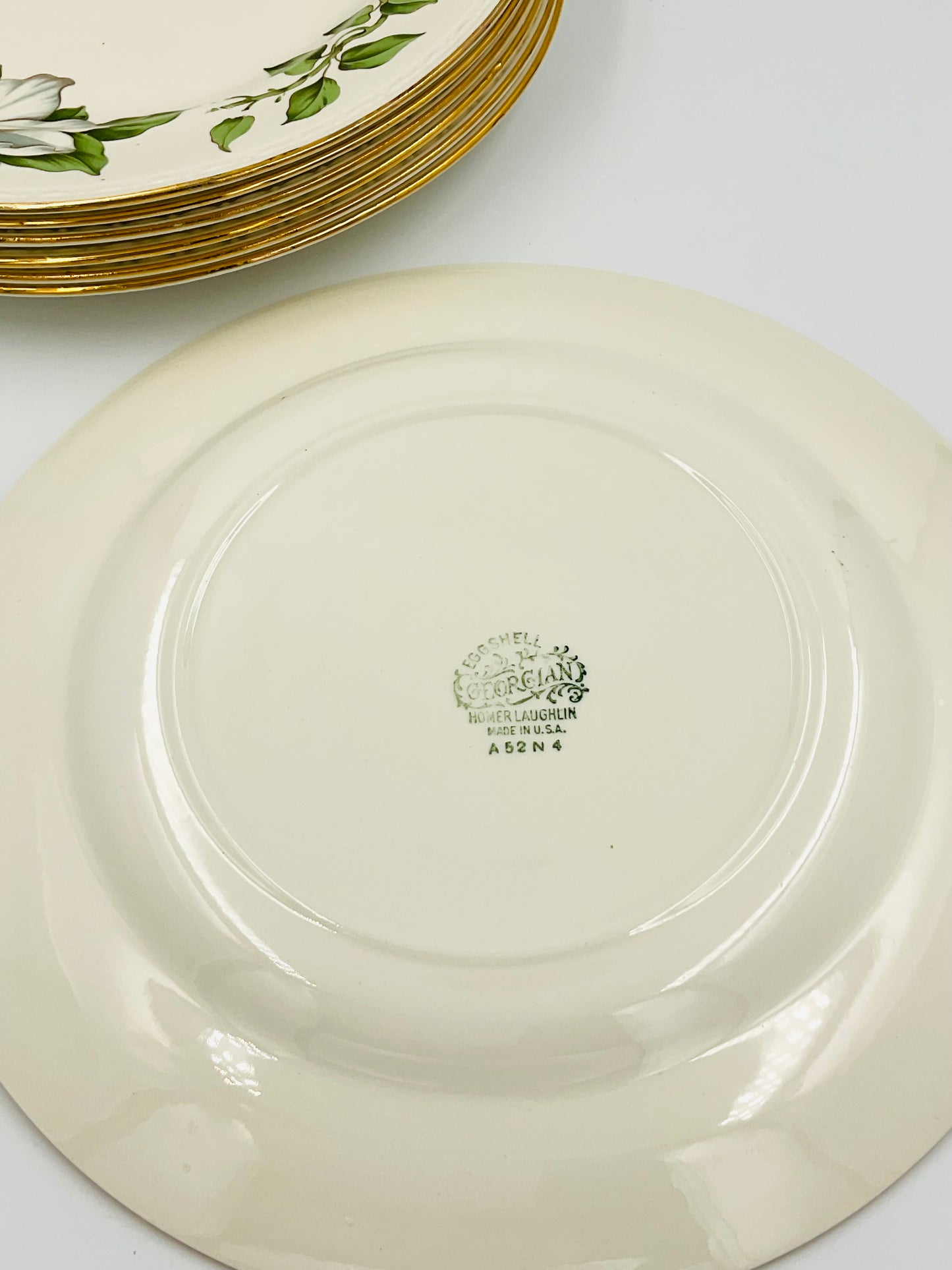 Vintage Homer Laughlin Eggshell Georgian Dinner Plates in Cotillion Pattern - Set of 2