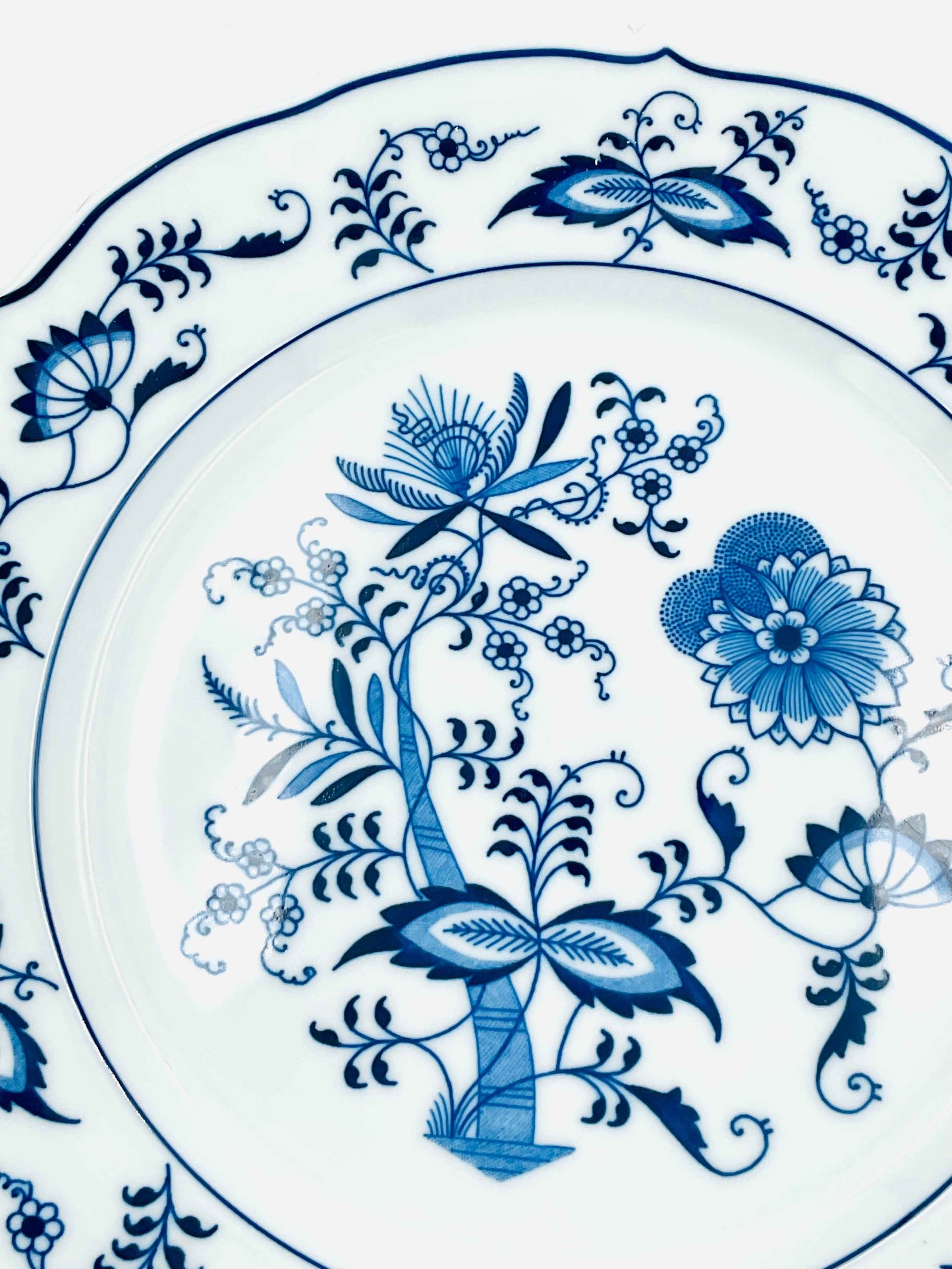 Vintage Blue Danube Dinner Plates