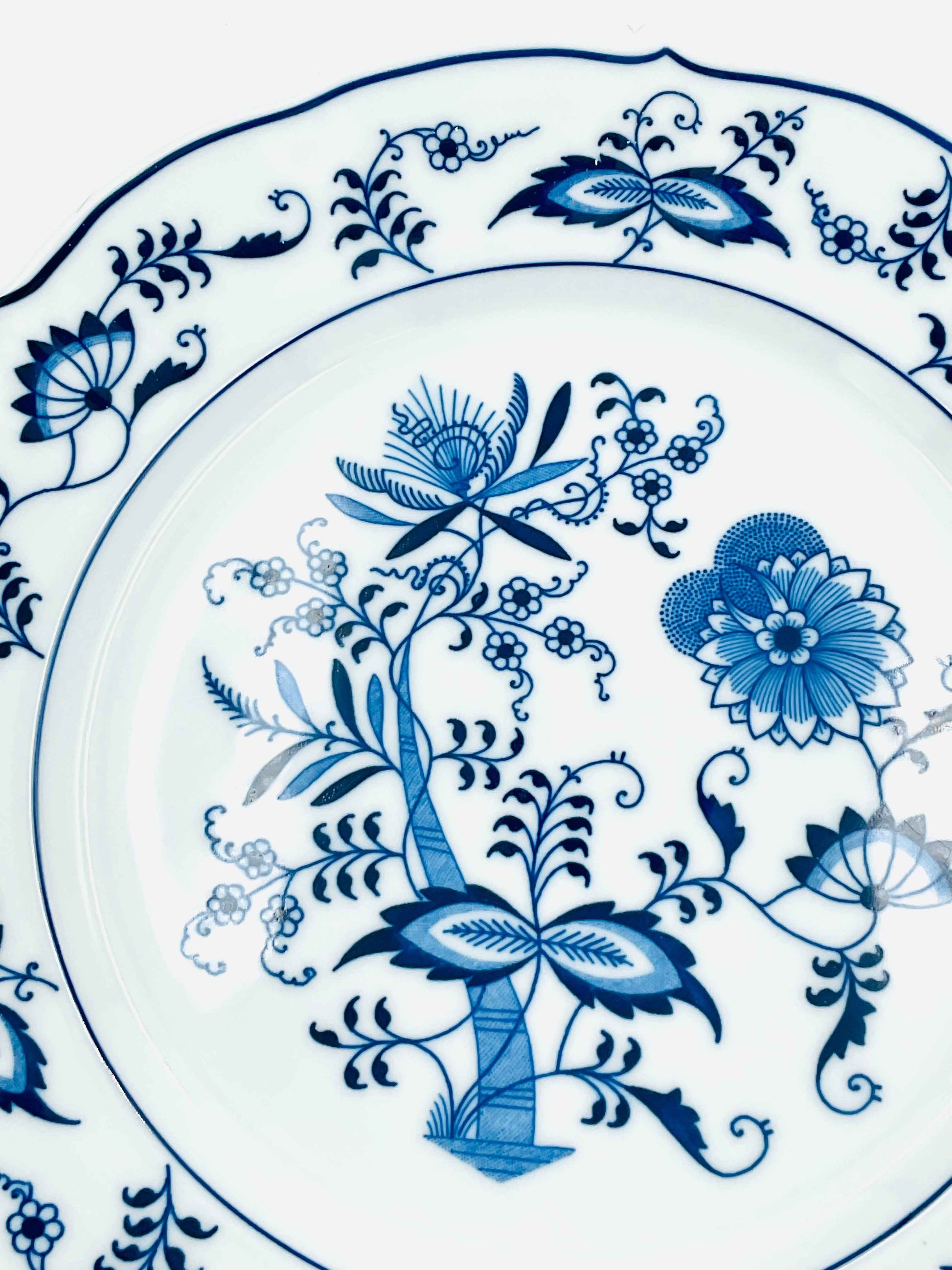 Vintage Blue Danube Dinner Plates