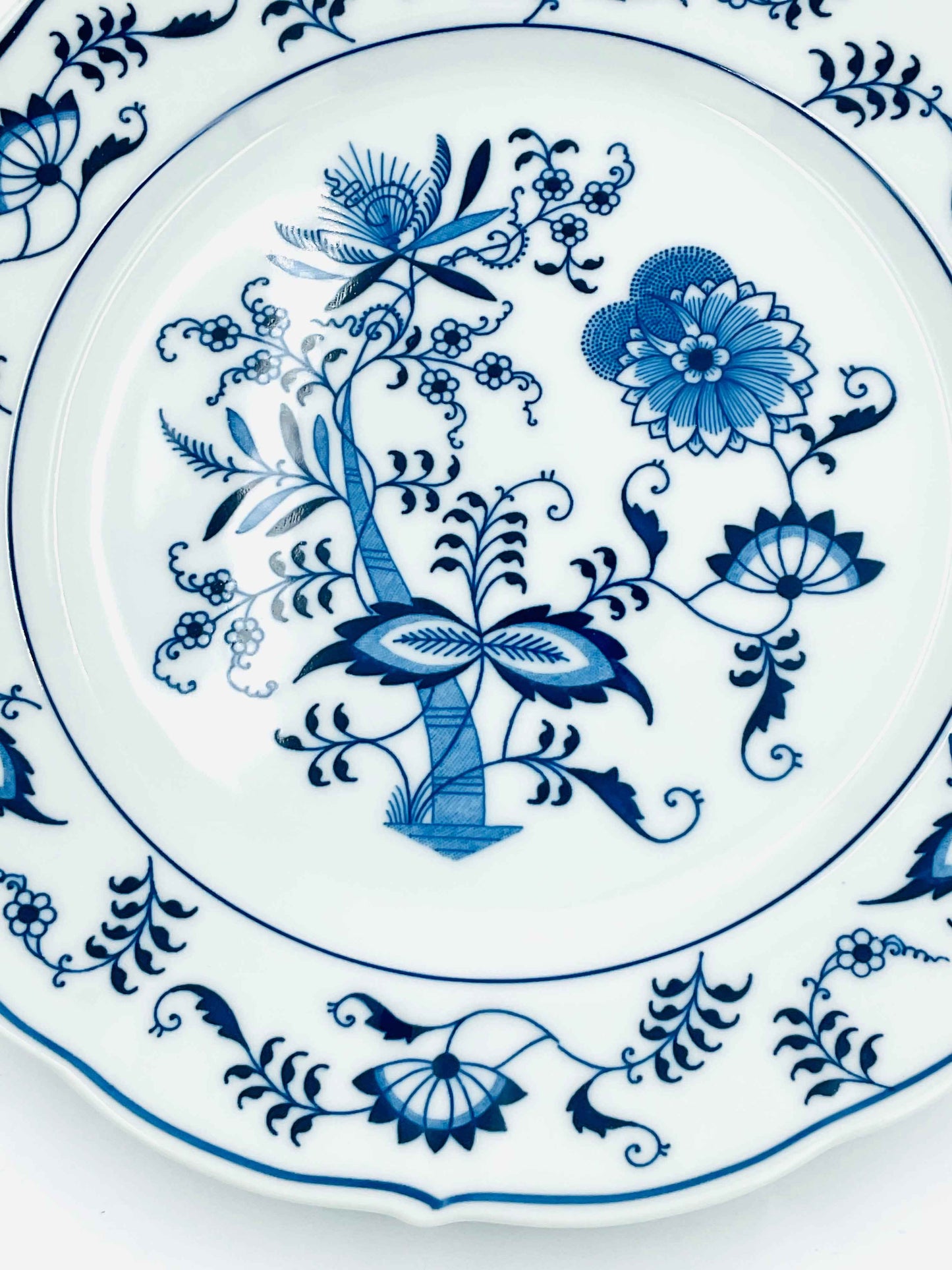 Vintage Blue Danube Dinner Plates