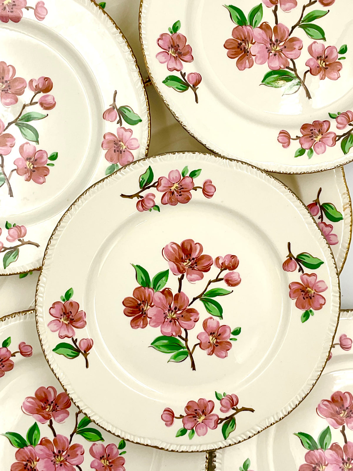 Vintage Homer Laughlin Apple Blossom Dinner Plate Pink Floral 9.5"
