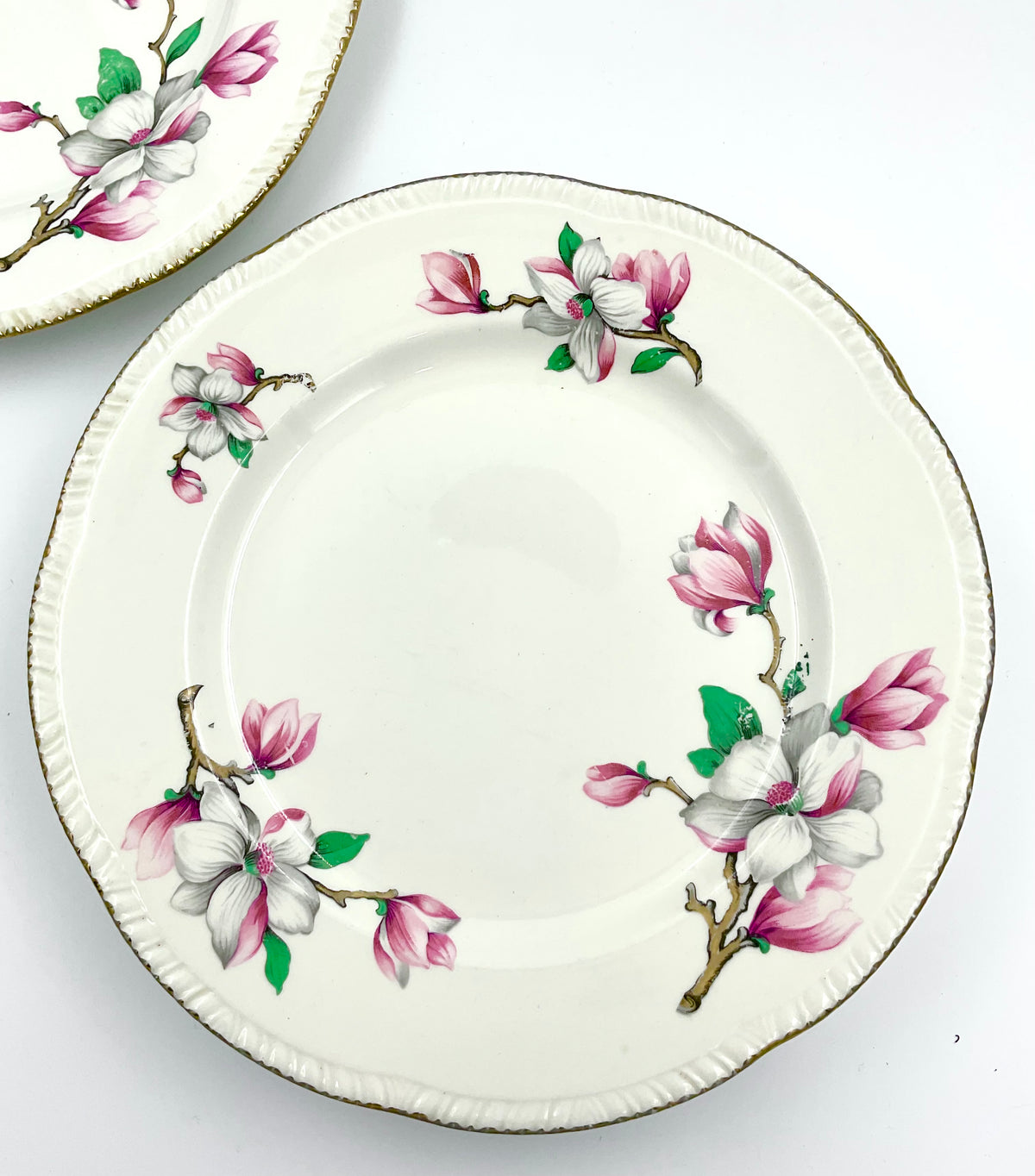 Vintage Homer Laughlin Magnolia Dinner Plate Pink Floral Gold 9”