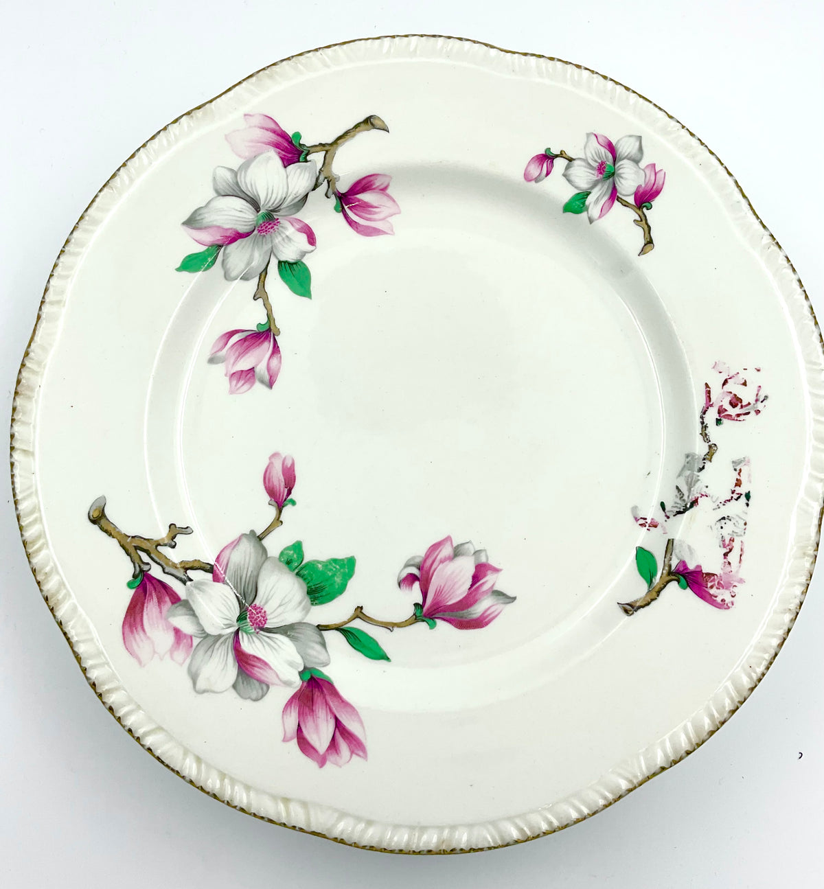 Vintage Homer Laughlin Magnolia Dinner Plate Pink Floral Gold 9”