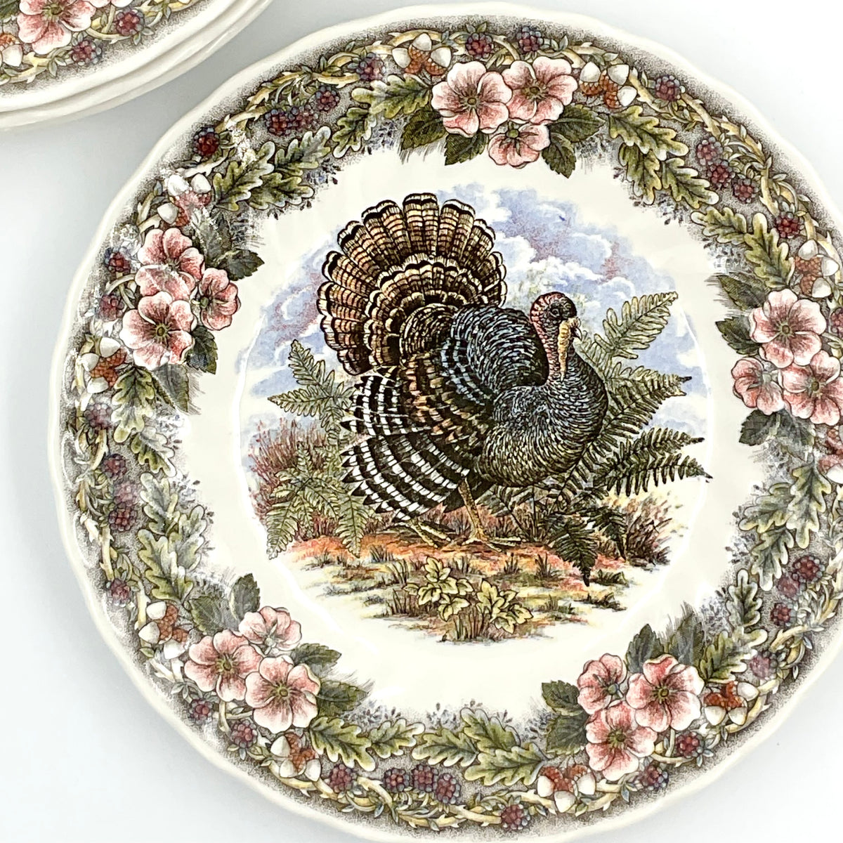 Queen’s Myott Thanksgiving Turkey 8-Inch Salad Plates, Set of 2