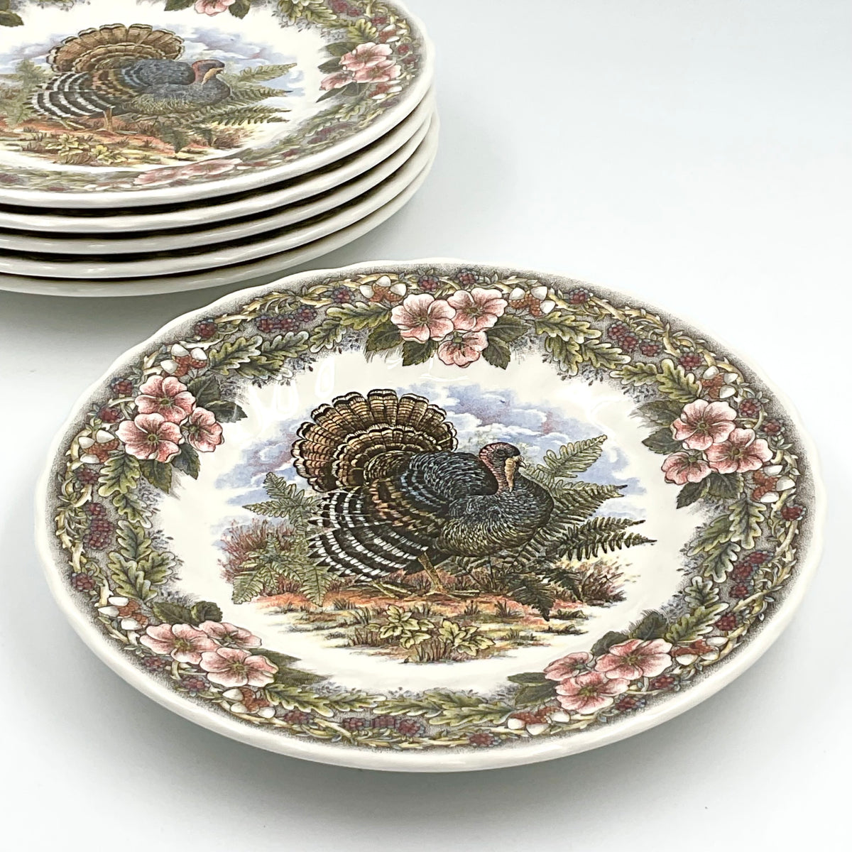Queen’s Myott Thanksgiving Turkey 8-Inch Salad Plates, Set of 2